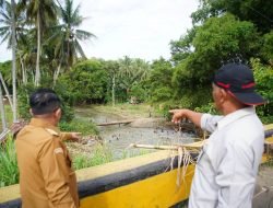 Jelang Masa Tanggap Darurat Berakhir, Bupati Tinjau Jembatan