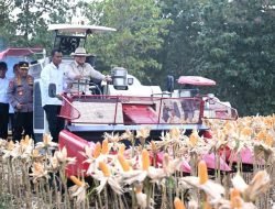 Cadangan Beras Nasional Tembus 5,3 Juta Ton, Pemerintah Perkuat Kemandirian Pangan Rakyat