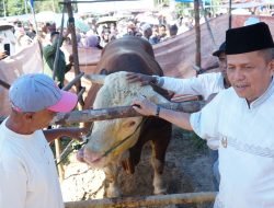 Pemko Payakumbuh Laksanakan Sembelih Hewan Banmas Presiden di Masjid Ompang Tanah Sirah