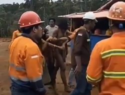 Suku Pedalaman Keluar Hutan, Minta Makan di Tambang Nikel