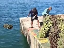 Pulau Enggano Krisis Pangan, 4.000 Warga Terisolasi Dua Pekan