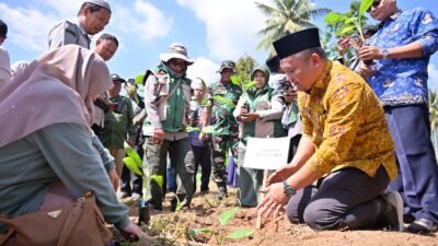 Pemko Payakumbuh Mulai Gerakan Tanaman Pisang Serentak