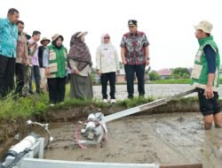 Tanam Perdana Padi Teknologi PM‑AAS di Pariaman, Dorong Pertanian Modern Efisien