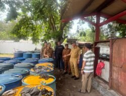 Kontes Ikan Koi Sumatera Barat 2026: Ajang Bergengsi, Dorong Ekonomi Kreatif dan Potensi Ikan Hias Sumatera Barat
