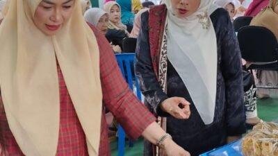 Ketua TP PKK Tanah Datar Ny Lise Eka Putra Bersama Rombongan Kunjungi Bundo Kanduang Nagari Gurun Terkait UMKM